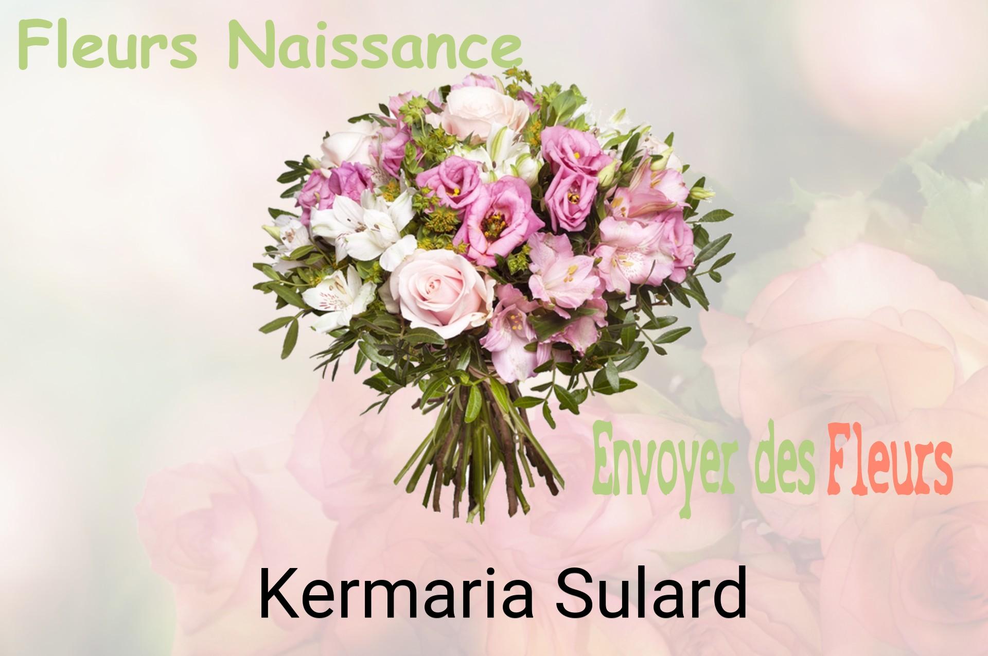 Bouquet de fleurs de naissance livré à Kermaria-Sulard